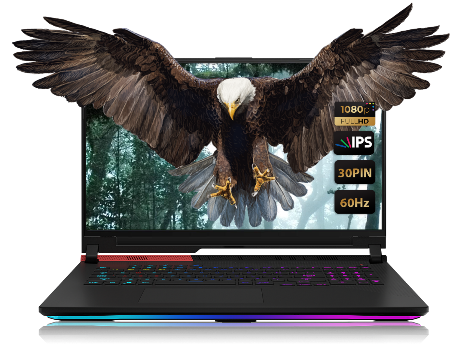 Schermo LCD Acer Originale 15.6 Pollici FHD IPS Opaco - Per Aspire Serie E5-571, 30 Pin EDP