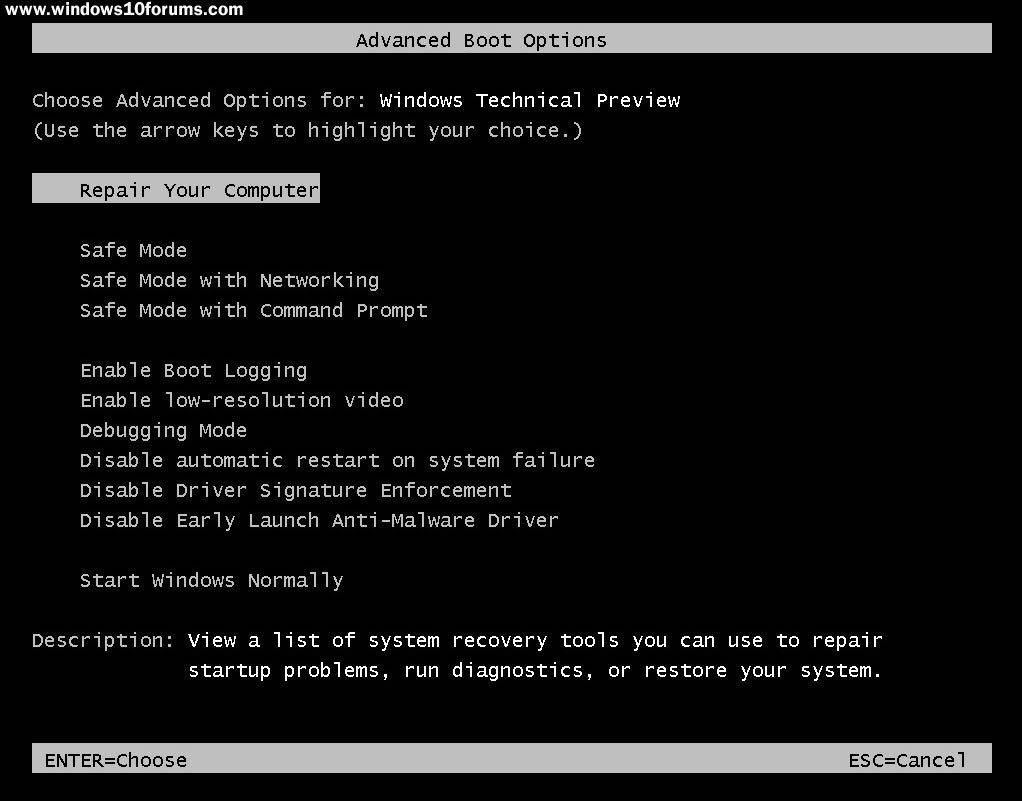 Advanced Boot Options