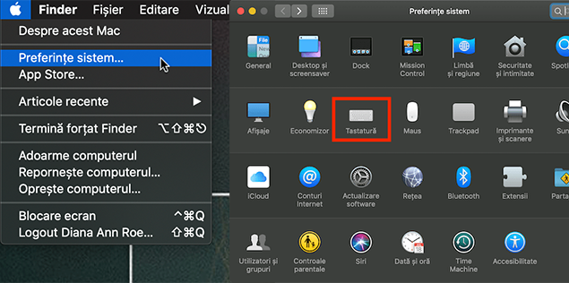 Cum scrii cu diacritice pe laptop sau calculator