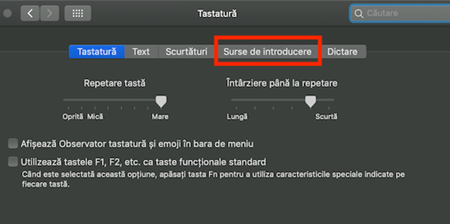 Activare diacritice pe MacOS