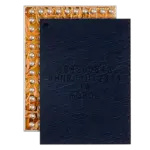 338s00843 Ic Charging Power Boost iPhone 14 Apple