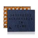 343S00302 Big Audio IC