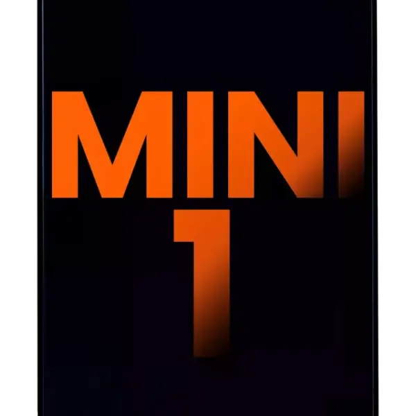 Display iPad Mini 1 Blemish A