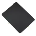 Display cu Digitizer iPad Pro 8th Gen (Nano-Texture / Cellular) (2025) Original