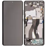 Display Samsung Galaxy S21 Ultra 5G AMPlus (120Hz) (Phantom Black) - imagine 2